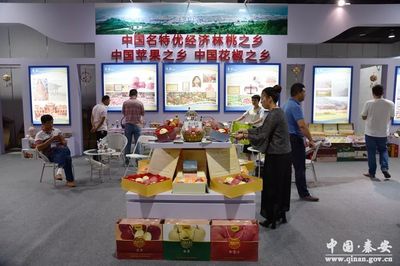 回眸2017,秦安电商在路上
