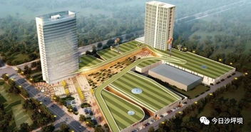 全市第一 沙坪坝招商引资跑出 加速度