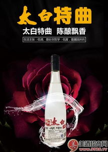 陕西桂圆商贸有哪些产品招商