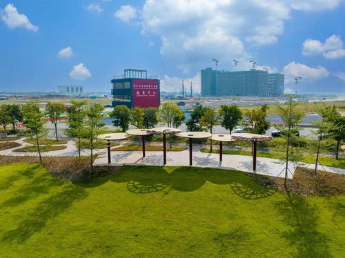 突出特色错位发展 江海区构建 外海制造 礼乐 农业 工业 双擎驱动 江南 总部 商贸 发展格局