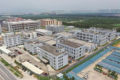 立足湾区 携手欧洲 走向世界 江门塑造国际经贸合作新优势