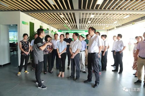 千里走亲促商贸 山海共绘新蓝图——龙游党政代表团江门考察记